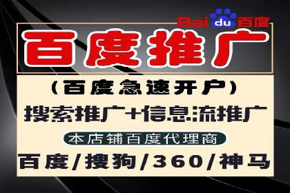 搜索引擎优化（SEM）在移动端的实践案例